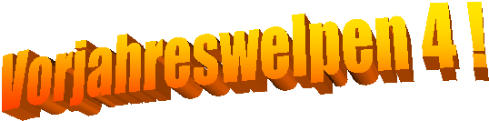 Vorjahreswelpen 4 !